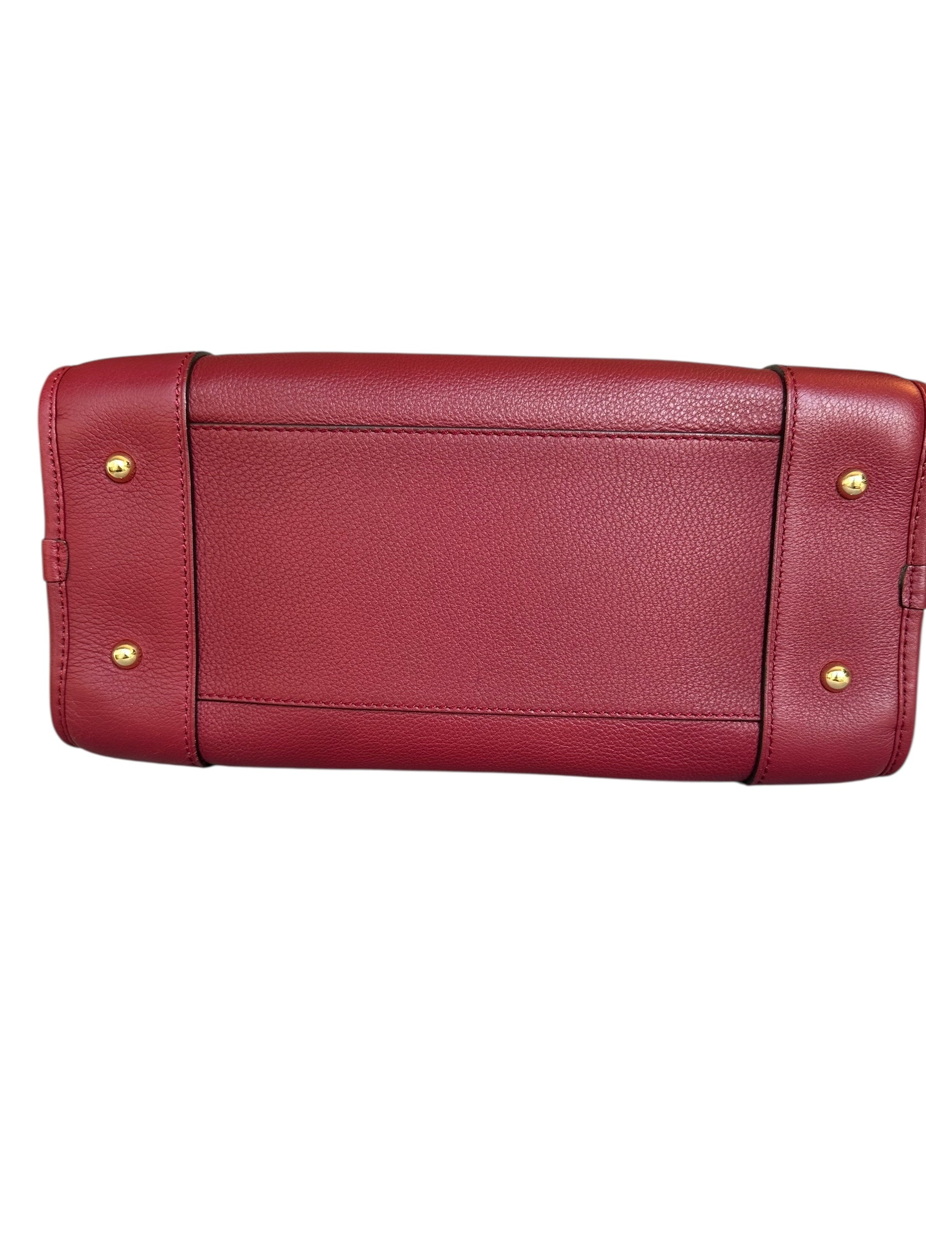 Loewe Limited Edition Amazona Year of the Dragon Bag - Red, GHW