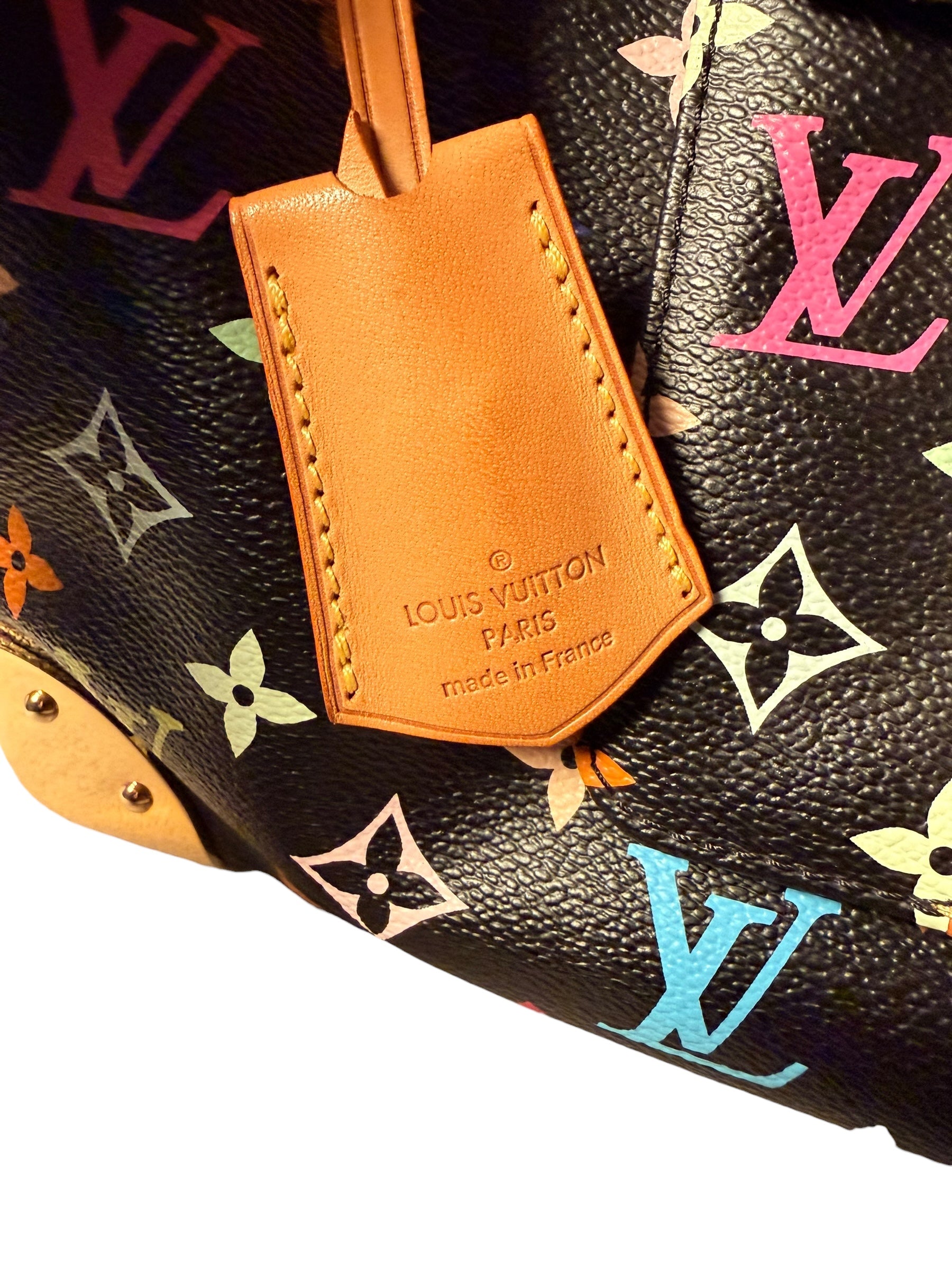 Louis Vuitton Multicolor Speedy 30 - Black GHW