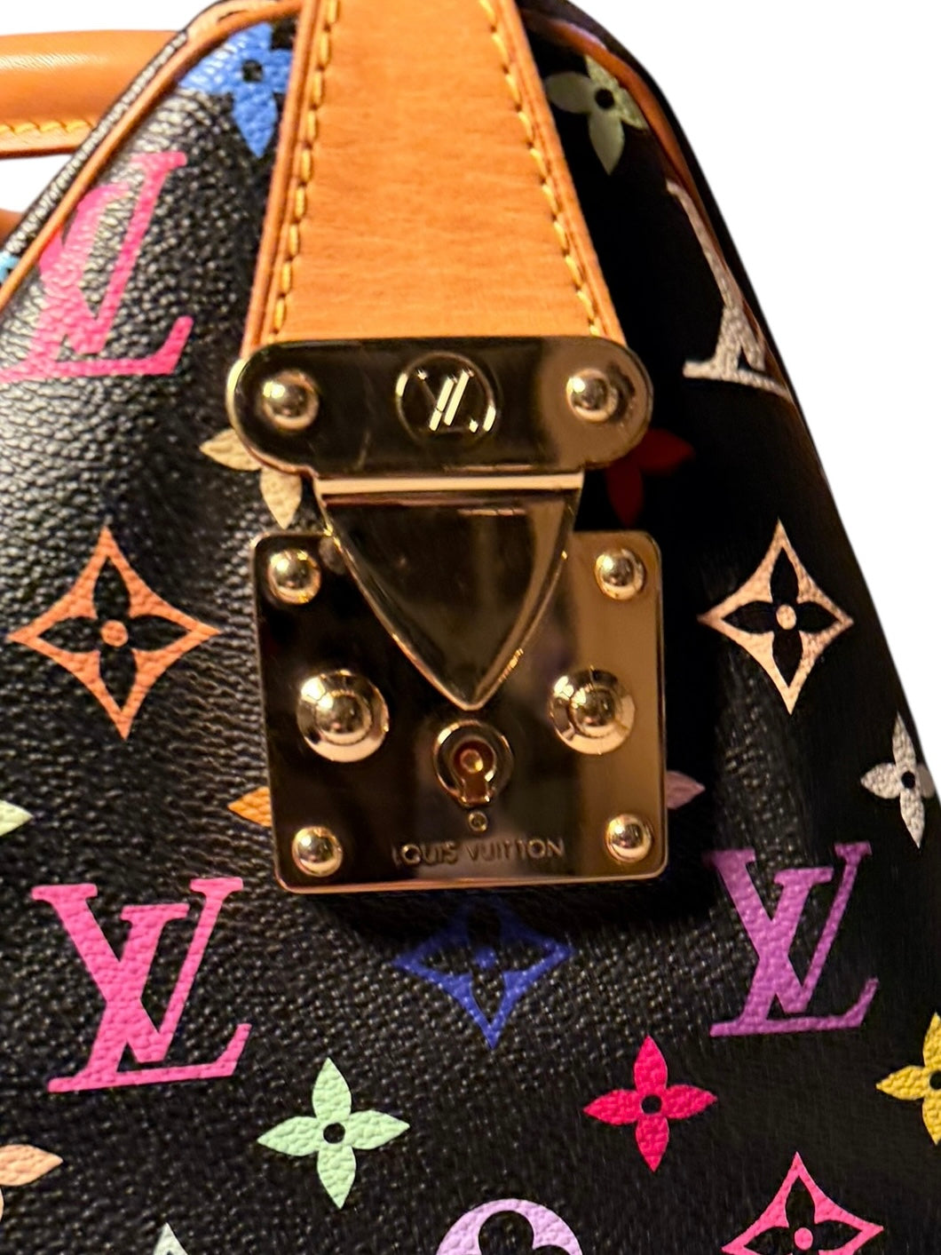Louis Vuitton Multicolor Speedy 30 - Black GHW