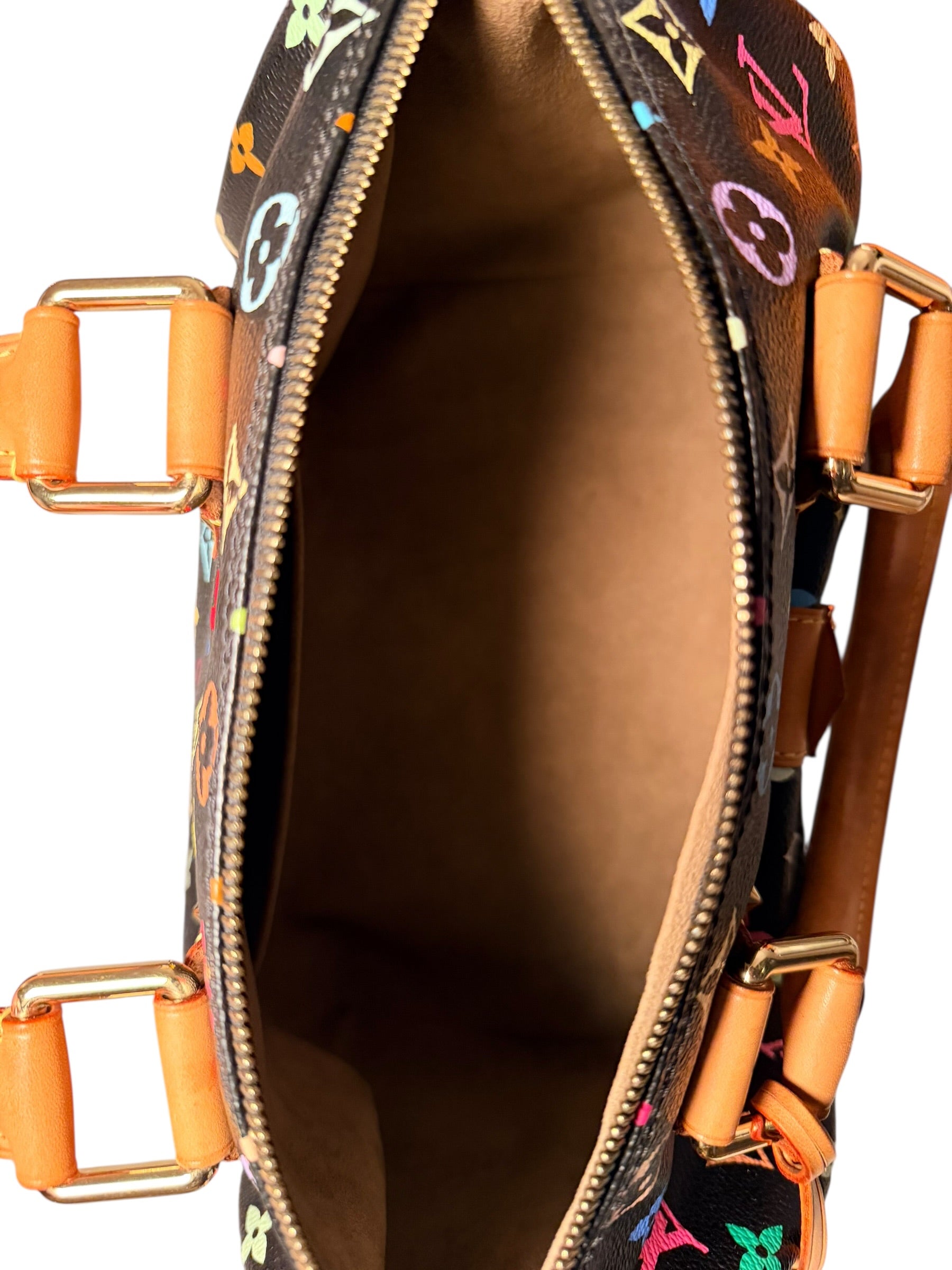 Louis Vuitton Multicolor Speedy 30 - Black GHW
