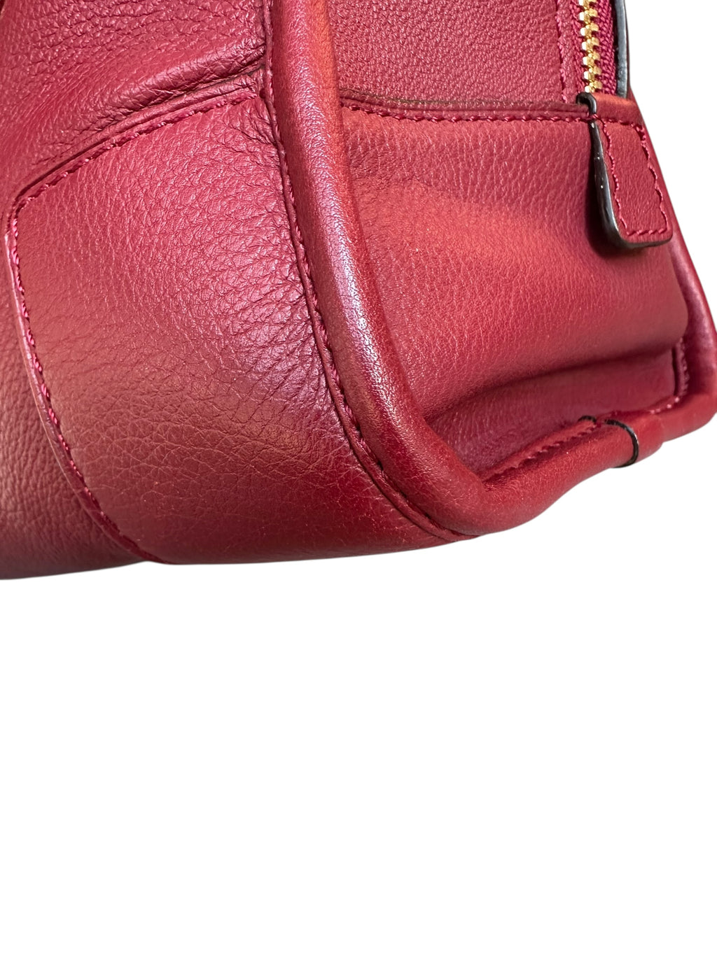 Loewe Limited Edition Amazona Year of the Dragon Bag - Red, GHW