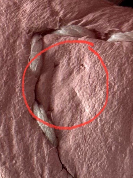 Hermes 2025 Mini Evelyn - Sakura Pink