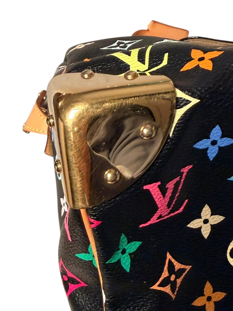 Louis Vuitton Multicolor Speedy 30 - Black GHW