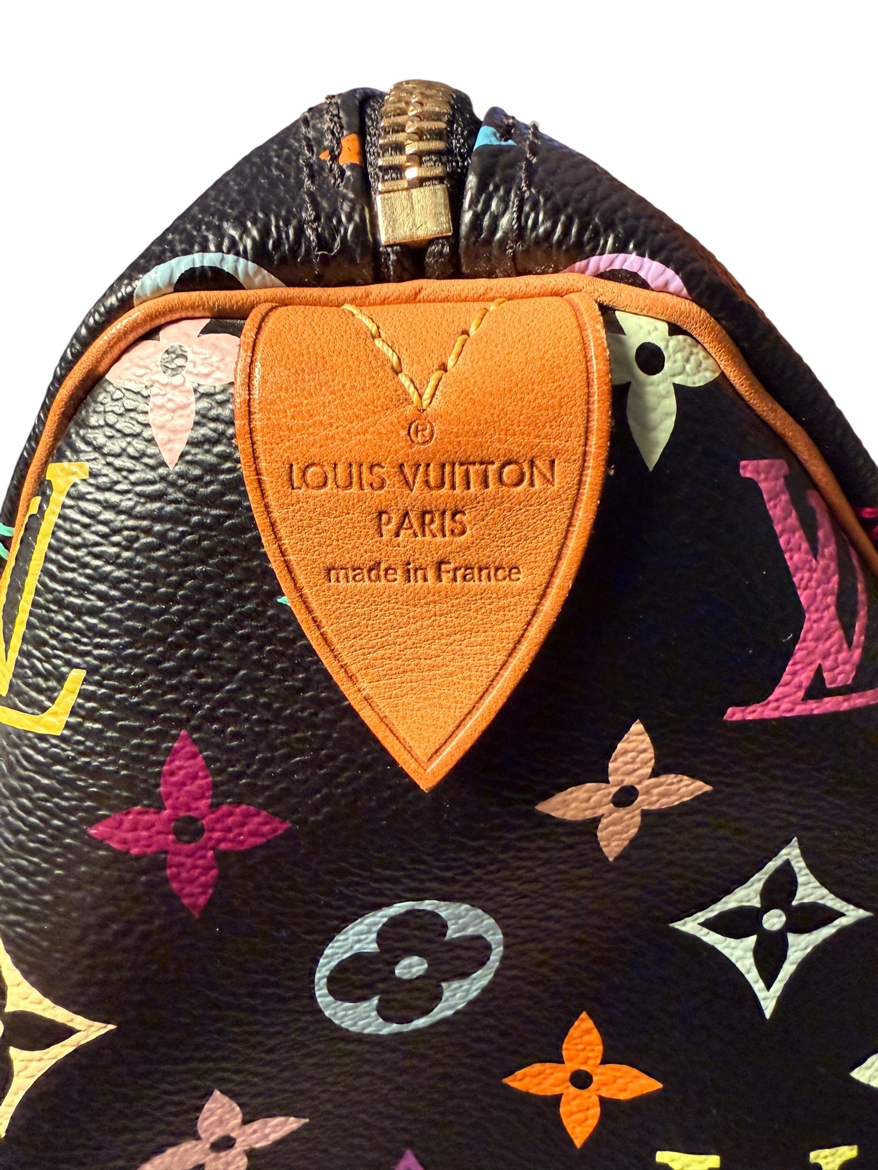 Louis Vuitton Multicolor Speedy 30 - Black GHW