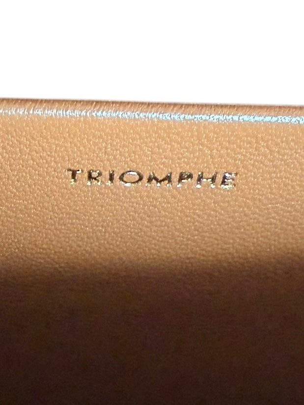 Celine Classique Triomphe Shoulder Bag in Fabric & Leather - Navy & White Striped, Brown