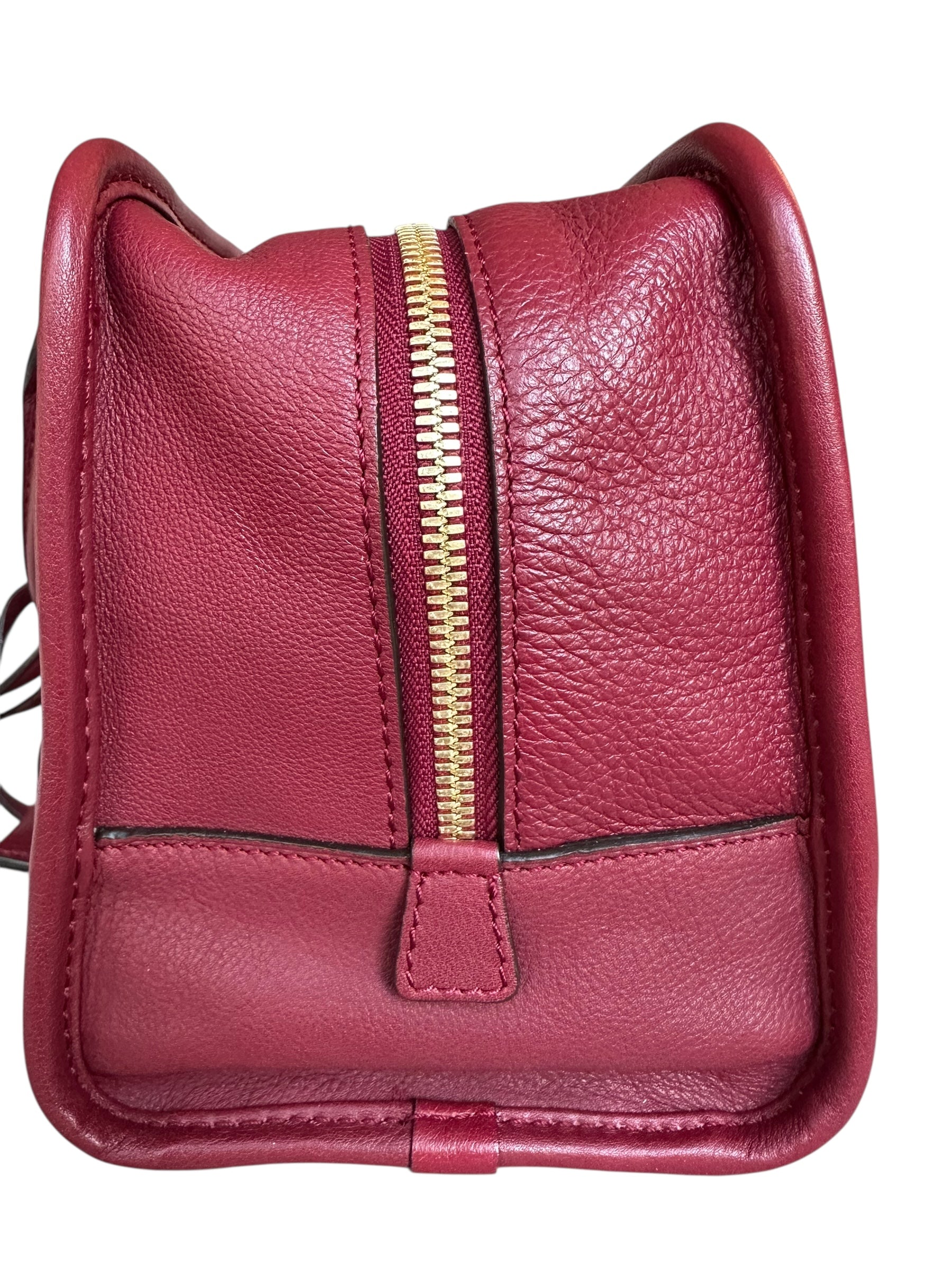 Loewe Limited Edition Amazona Year of the Dragon Bag - Red, GHW