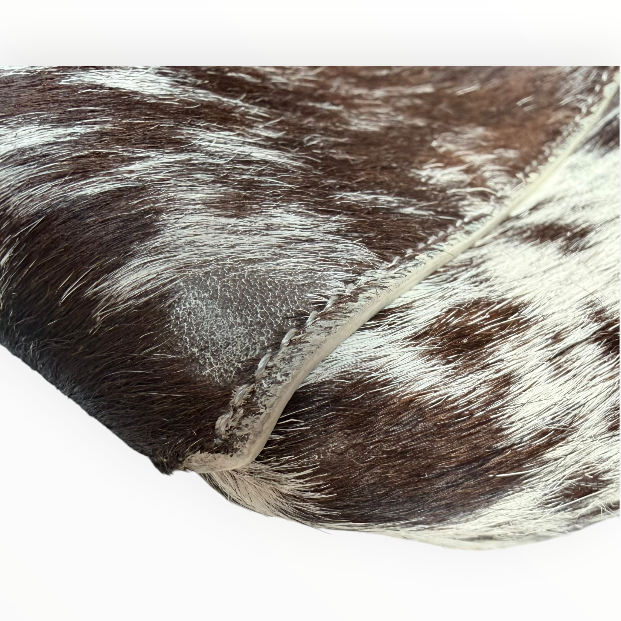 Celine Limited Edition Pony Hair Mini Belt Bag — 1 of 40