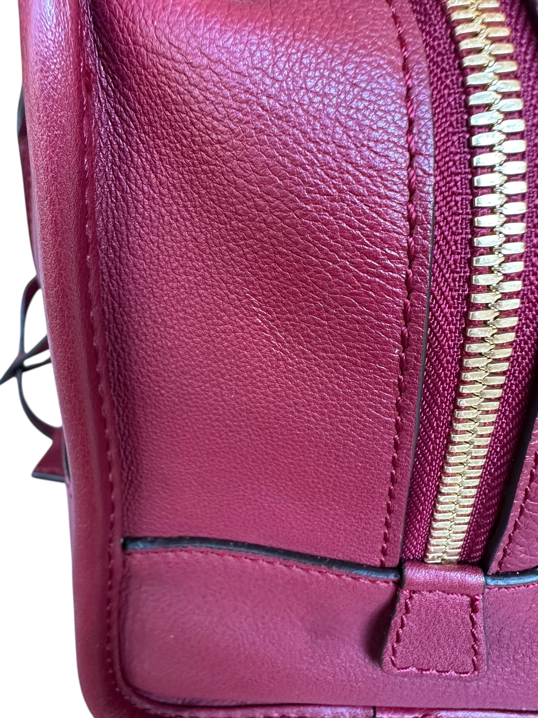 Loewe Limited Edition Amazona Year of the Dragon Bag - Red, GHW
