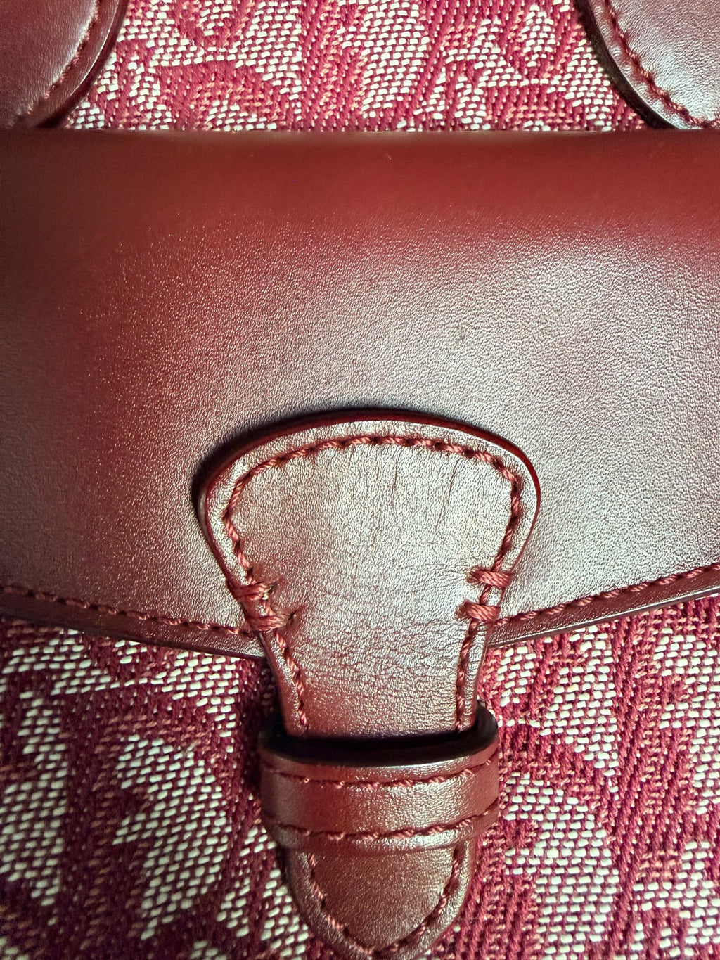 Christian Dior 2002 Trotter Canvas and Leather Pocket Tote in Burgundy