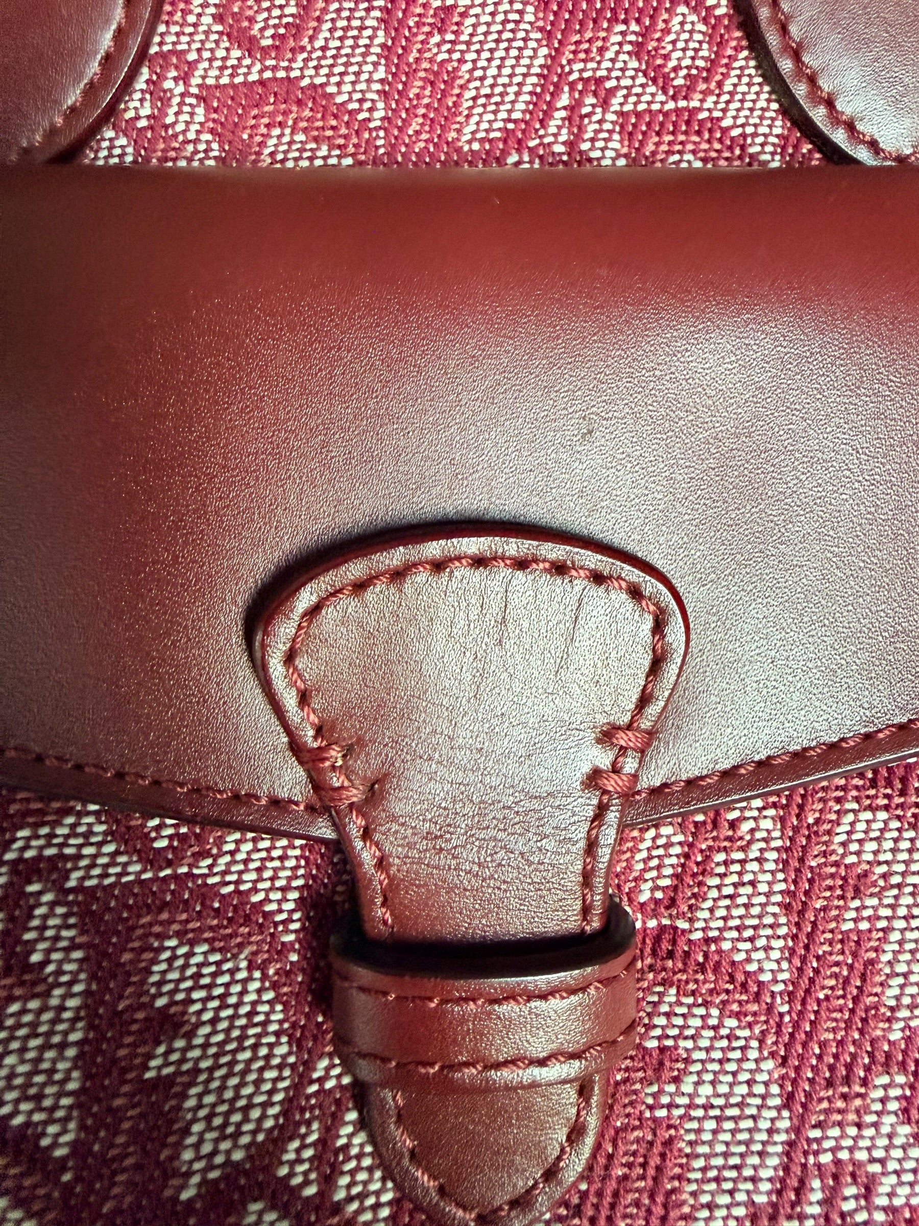 Christian Dior 2002 Trotter Canvas and Leather Pocket Tote in Burgundy
