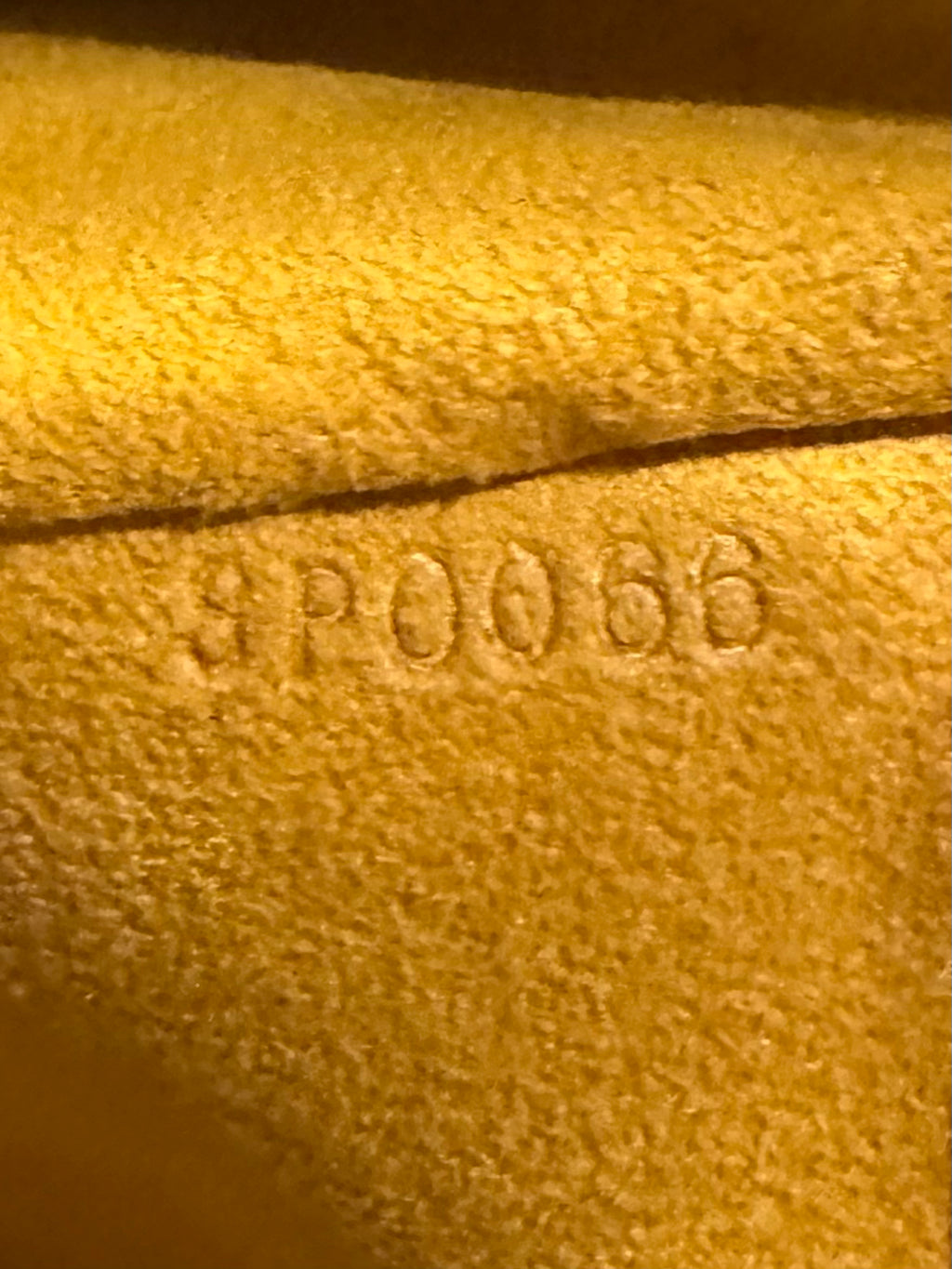 Louis Vuitton 2006 Denim Neo Speedy