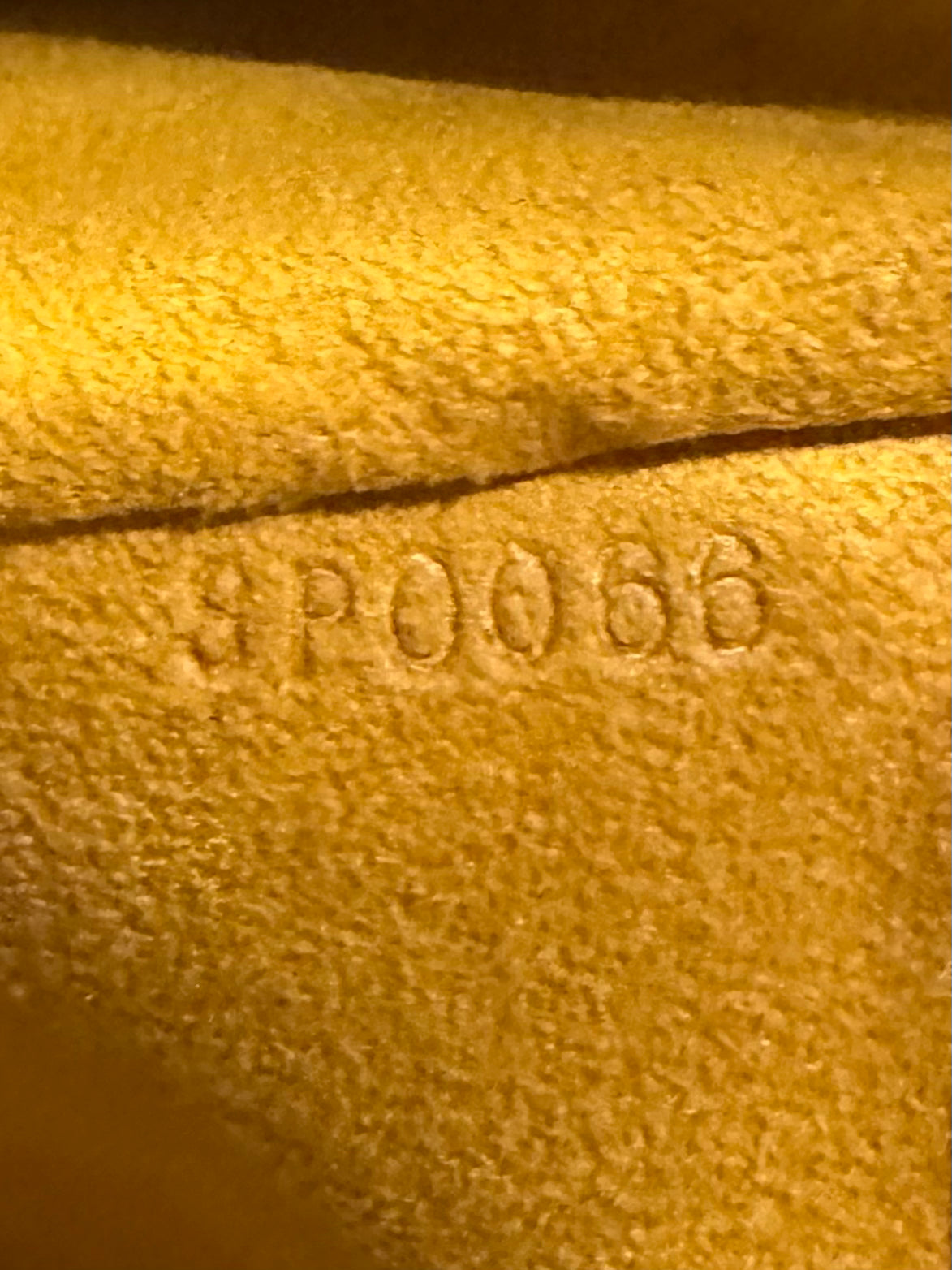 Louis Vuitton 2006 Denim Neo Speedy