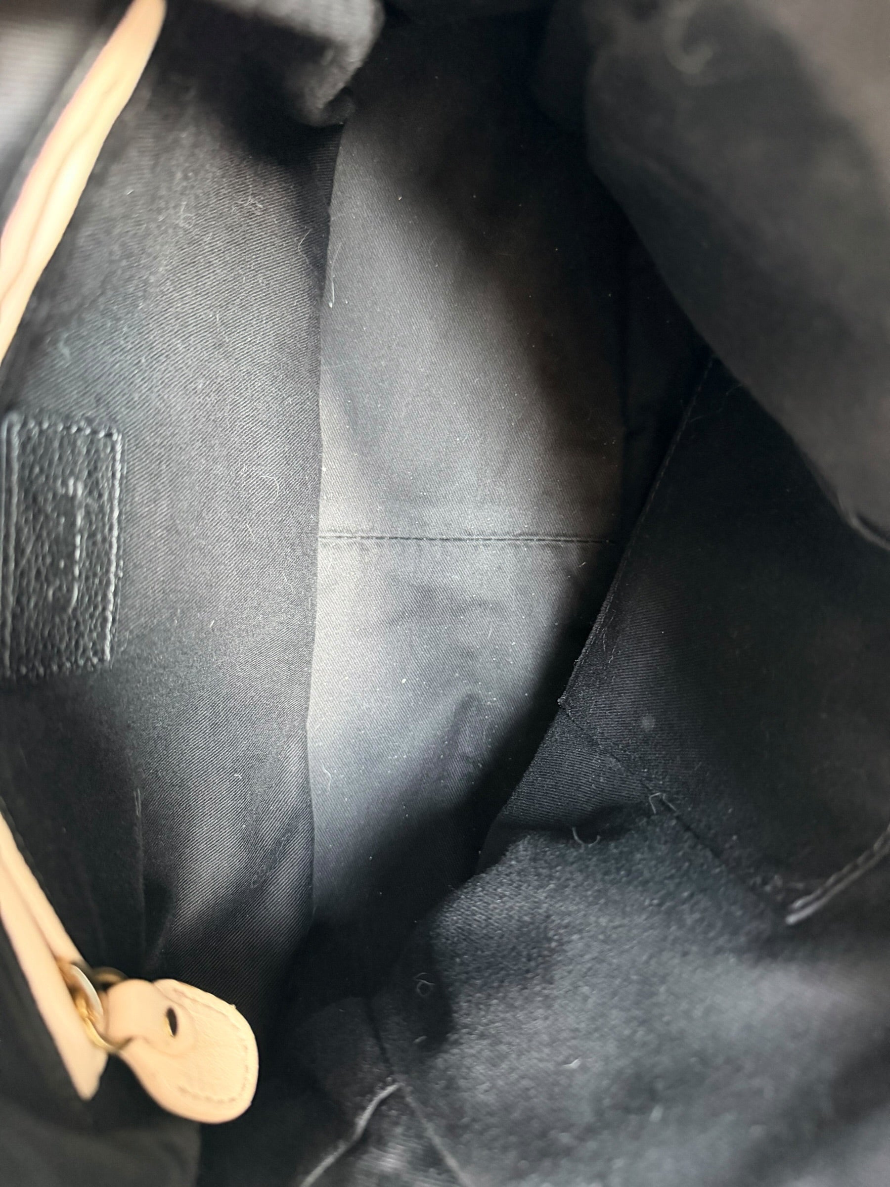 Chloé Black Python Paraty Bag